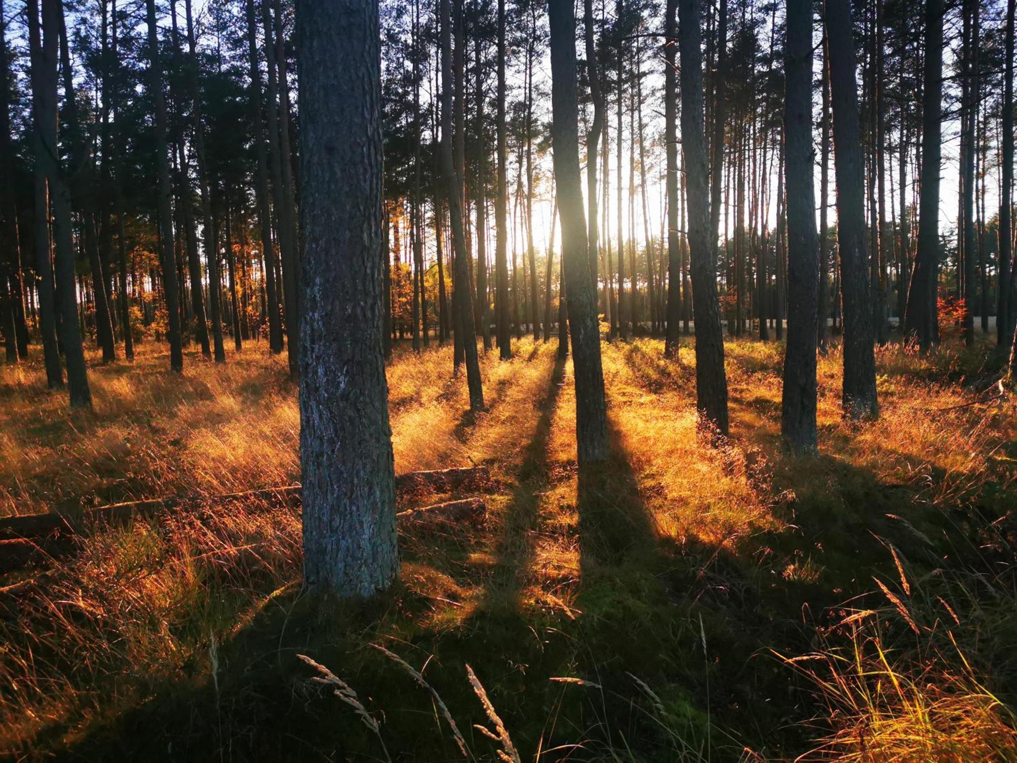 Wałcz Mlynska Dolinaヴィラ エクステリア 写真